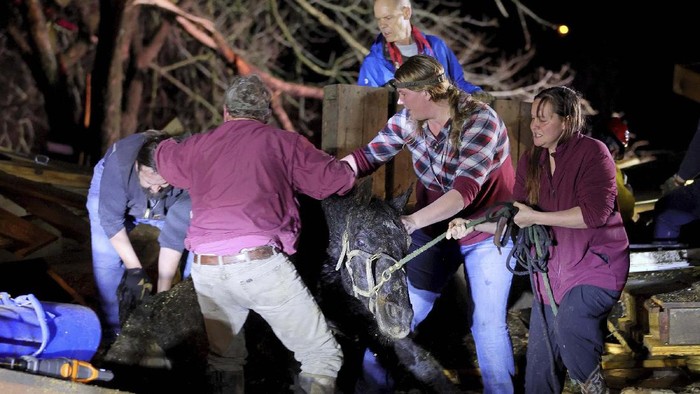 Chelsea Emmons holds on to a cat, Marinda, that belongs to her mother, Kim Goforth, Saturday, Dec. 11, 2021, in Bremen, Ky, while searching Goforth's home that was destroyed by a tornado late Friday evening. Emmons found the cat hiding in a dresser drawer. (Greg Eans/The Messenger-Inquirer via AP)