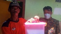Binatang berbisa tersebut rencananya akan dilepasliarkan di tempat yang jauh dari pemukiman.