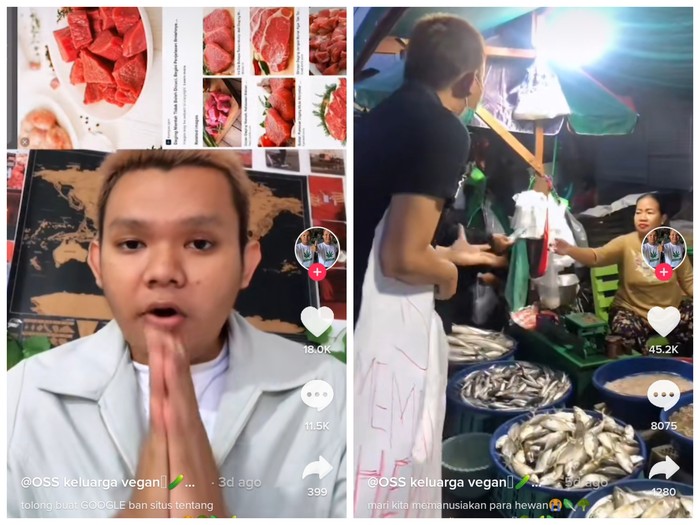 TikToker Vegan Pancing Emosi Netizen