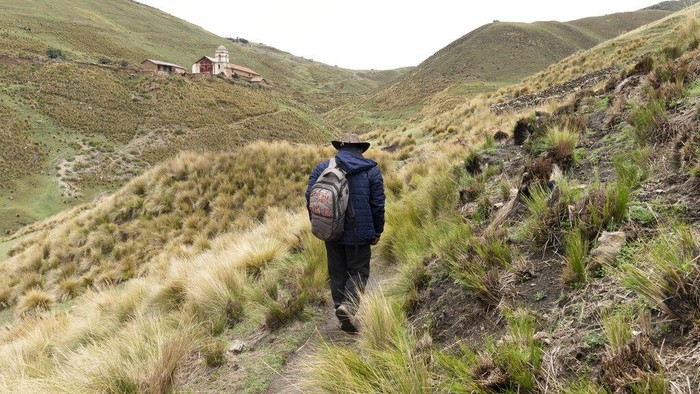 Alpaca shepherd Esteban Taipe climbs on the pulpit in the abandoned church of the ghost town of Santa Barbara, Peru, Thursday, Dec. 2, 2021. During Spanish colonial times Santa Barbara was once the largest mercury mine in the Americas. (AP Photo/Franklin Briceño)