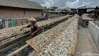 Meski langit mendung, mereka tetap menjemur ikan.