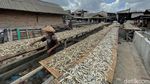 Musim Hujan, Produksi Ikan Asin di Muara Angke Menurun