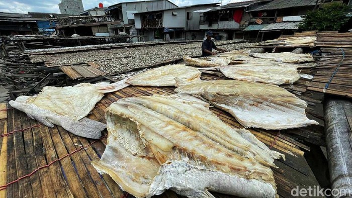 Nelayan Muara Angke mengaku produksi ikan asin menurun. Hal ini disebabkan penjemuran ikan yang terkendala karena musim hujan.