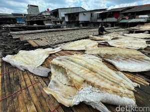 Bukan Mitos, Ikan Asin Bisa Picu Kanker! Tapi Penyebab Utama Tetap Rokok