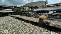 Penurunan ini disebabkan lamanya penjemuran ikan seiring masuknya musim hujan.