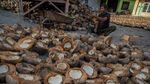 Harga Naik! Petani Kopra Semangat