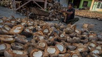 Setelah sebelumnya hanya menjual kelapa dalam bentuk biji mentah, petani di wilayah itu kembali mengolahnya menjadi kopra karena adanya kenaikan harga dari rata-rata Rp10 ribu menjadi Rp12.500 per kilogram sejak sebulan terakhir ini. ANTARA FOTO/Basri Marzuki
