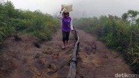 Sutiyah mengaku bisa mengangkut air bersih sebanyak lebih dari lebih dari 10 jeriken saat Gunung Andong ramai pendaki dengan pendapatan Rp 500 ribu/minggu.