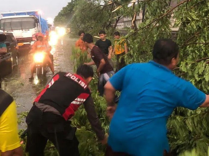 Hujan disertai angin kencang membuat sejumlah pohon di sepanjang jalan poros nasional Lamongan, tumbang. Sehingga lalu lintas sempat macet.
