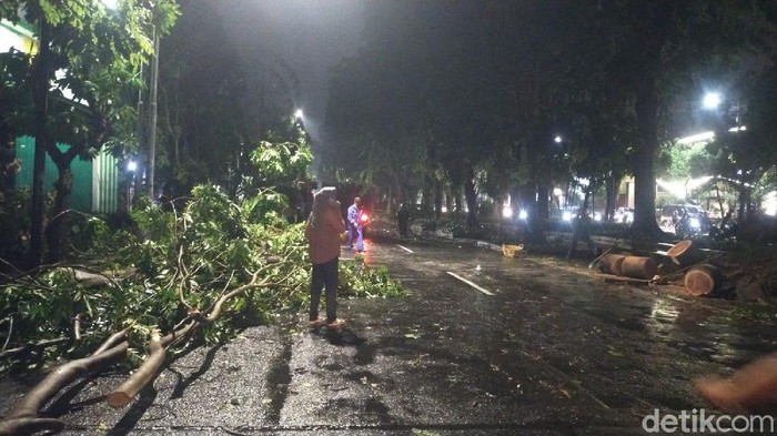 Hujan deras mengguyur Surabaya disertai angin kencang. Banyak pohon yang tumbang dan banjir terjadi di sejumlah ruas jalan.