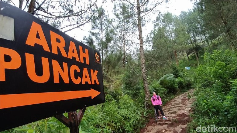 Sensasi Mendaki di Gunung Andong Magelang Sensasi Mendaki di Gunung Andong Magelang