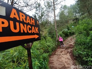 Sensasi Mendaki di Gunung Andong Magelang