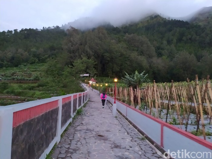 Sensasi Mendaki di Gunung Andong Magelang