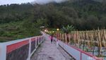 Potret Pendakian Gunung Andong di Magelang