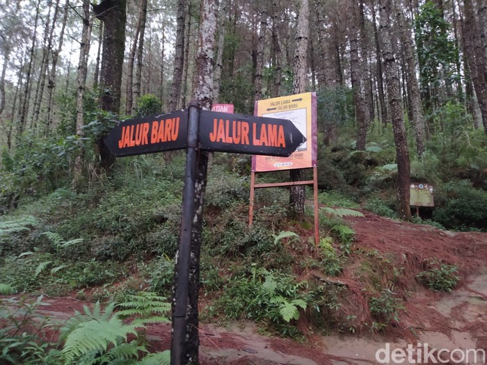 Sensasi Mendaki Gunung Andong