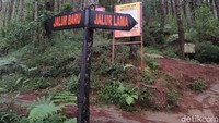 Pada, Sabtu (11/12), detikcom berkesempatan untuk mendaki di gunung tersebut. Berangkat dari Kota Magelang sekitar pukul 03.30 WIB, dengan harapan nanti sampai puncak bisa melihat sunrise. Adapun jalur dipilih melalui Basecamp Sawit di Dusun Sawit, Desa Girirejo, Kecamatan Ngablak.  Foto: Eko Susanto/detikcom
