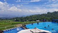 Kolam renang dengan view pesawahan.