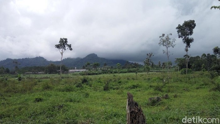 Gempa Magnitudo 5.3 mengguncang Jember. Selain tidak berpotensi tsunami, gempa tersebut juga tak berpengaruh pada aktivitas Gunung Semeru.