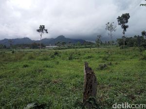 Gempa Jember Tak Berpengaruh pada Aktivitas Gunung Semeru