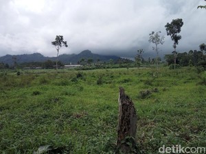 Gempa Jember Tak Berpengaruh pada Aktivitas Gunung Semeru