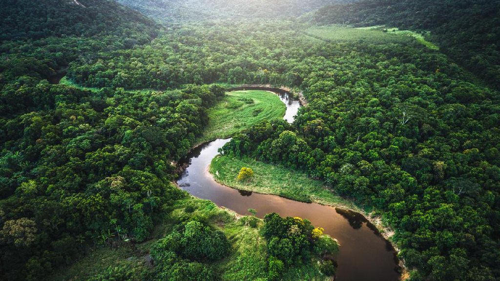 Cuitan Leonardo DiCaprio soal Hutan Amazon Bikin Murka Presiden Brasil
