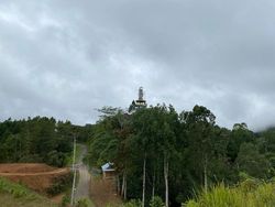 Walhi Polisikan Anggota DPRD Sulsel Bangun Vila di Hutan Lindung Toraja Utara