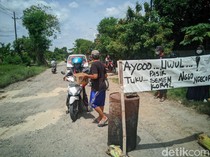 Kades Ponorogo Malah Baru Tahu Jalan Rusak Ditanami Pohon Pisang-Pepaya