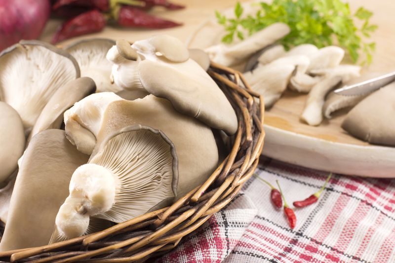 bunch of fresh oyster mushrooms ready for cooking