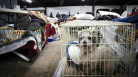 Tak sedikit warga yang kini terombang-ambing di pengungsian karena kehilangan rumah mereka akibat bencana tornado di kawasan Kentucky tersebut. AP Photo/Robert Bumsted.