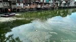 Sampah di Kali Cideng Dibersihkan