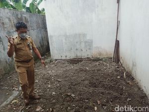 Usai Diteror 42 Ular Kobra, Begini Kondisi Terkini SMPN 3 Karangdowo Klaten