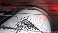 Gempa NTT 2026 Magnitudo 7,7, Mengapa Tsunaminya Tak Sedahsyat 1992?