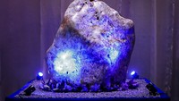 Safir biru korundum alami seberat 310 kilogram (683 pon) dipajang di sebuah kediaman di Horana, sekitar 41 kilometer (25 mil) selatan Kolombo, Sri Lanka, Minggu, (12/12/2021). Sebuah perusahaan permata di Sri Lanka telah meluncurkan batu permata besar yang disertifikasi sebagai langka dan salah satu korundum terbesar yang ditemukan.