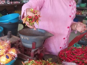 Harga Cabai Rawit di Lamongan Makin Mahal Jelang Nataru, Rp 100 Ribu/Kg
