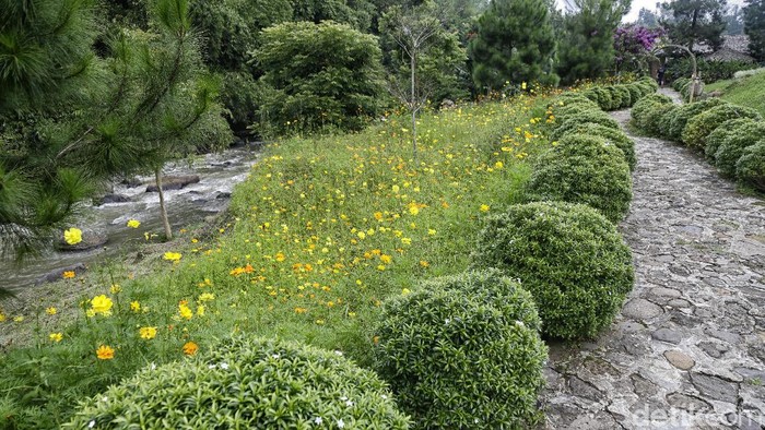 Wisata alam Driam Riverside, Ciwidey, Bandung