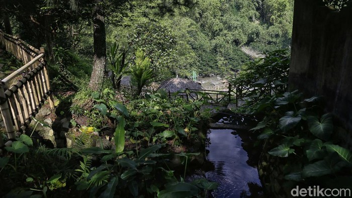 Wisata alam Driam Riverside, Ciwidey, Bandung