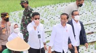 Jokowi ke Temanggung, Pastikan Harga Bawang Tak Dipermainkan Tengkulak