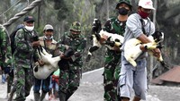 Pemerintah bergerak sigap. Tim SAR gabungan yang terdiri dari Basarnas, TNI, Polri, relawan dan dibantu warga segera turun ke lokasi bencana sekaligus melakukan evakuasi warga terdampak.
