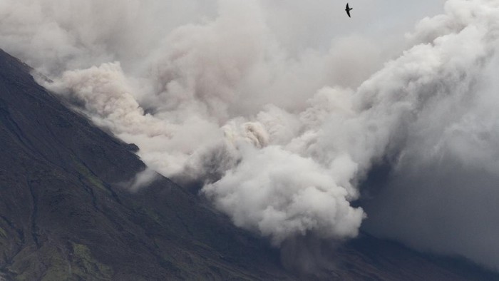 Kala Sang Mahameru Bergejolak Sabtu 4 Desember 2021, Gunung Semeru kembali bergejolak. Di sore yang mendung itu, Semeru meletus memuntahkan awan panas guguran.