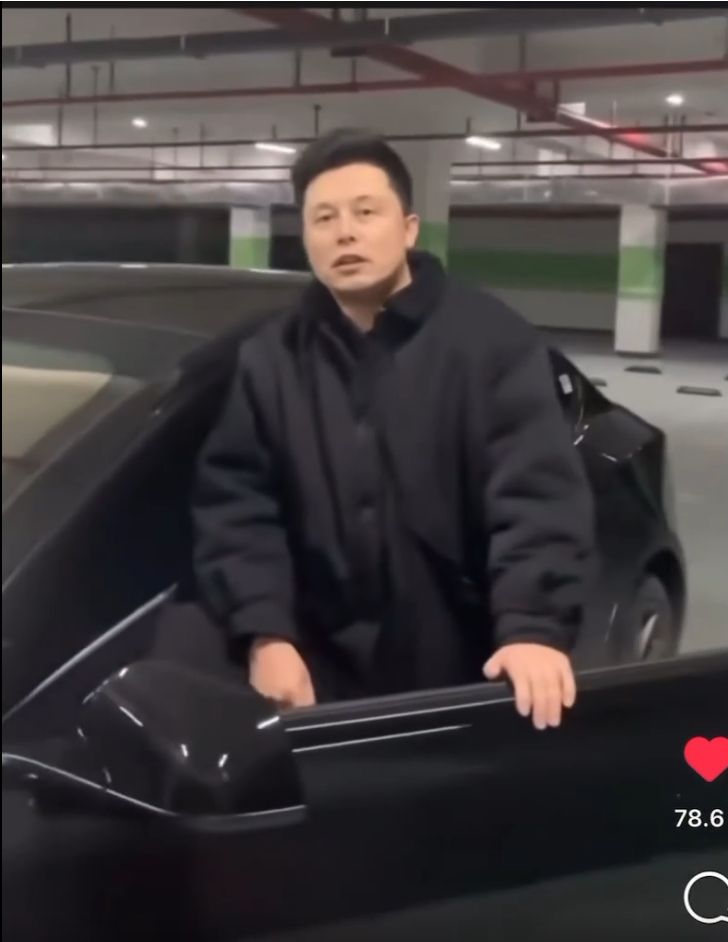 kembaran Elon Musk