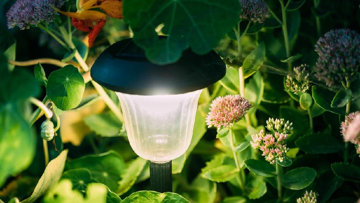 Beautiful Small Solar Garden Light, Lanterns In Flower Bed. Garden Design. Solar Powered Lamp