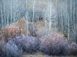 Keindahan Karya Jawara Kontes Foto Landscape Bikin Mata Terkesima