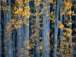 Keindahan Karya Jawara Kontes Foto Landscape Bikin Mata Terkesima