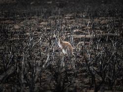Keindahan Karya Jawara Kontes Foto Landscape Bikin Mata Terkesima