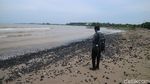 Pantai Sekembu Jepara Menghitam Tercemar Batu Bara