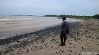 Diwawancarai terpisah, Kepala Dinas Lingkungan Hidup Jepara, Farikhah Elida menyebut penanganan kasus batu bara yang mencemari Pantai Sekembu menjadi kewenangan dari Kementerian Lingkungan Hidup dan Kehutanan (KLHK).