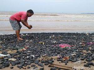 Duh! Pantai Sekembu Jepara Tercemar Batu Bara