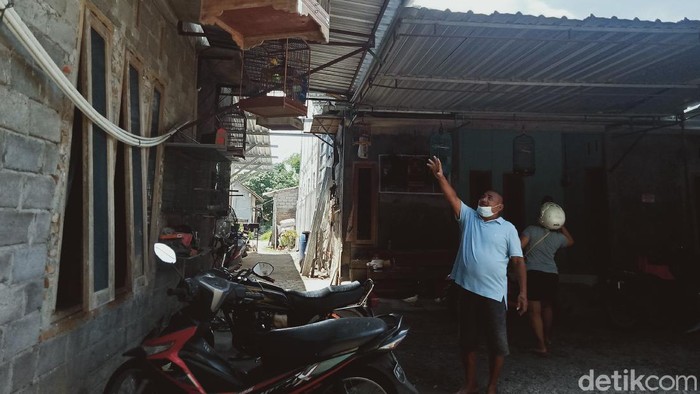 Pencurian burung kenari bikin resah warga Klaten