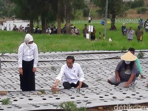 Momen Jokowi Telepon Mendag Usai Dicurhati Petani soal Impor Bawang