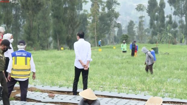 Presiden Jokowi Tinjau Lokasi Food Estate, Temanggung, 14 Desember 2021. (Tangkapan Layar Youtube  Sekretariat Presiden)